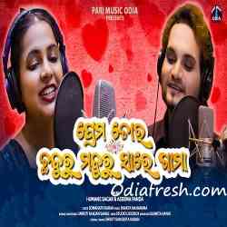 Prema Tora Chhanduru Manduru Saregama